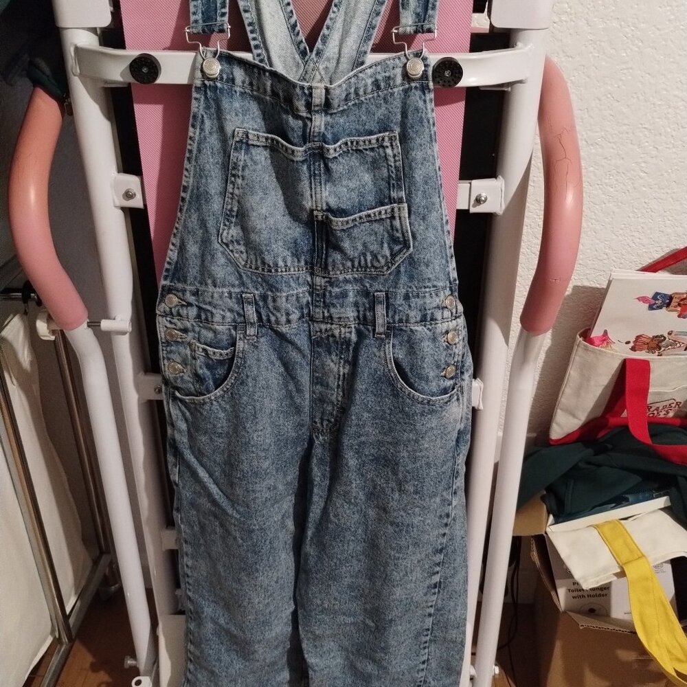 We The Free Ziggy Denim Overalls